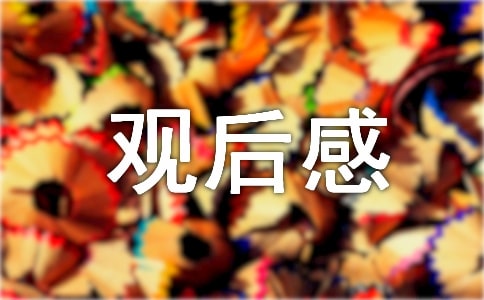 在博士联合会会员大会暨换届会议上发言